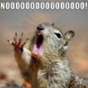 Meet your Posher, Josh